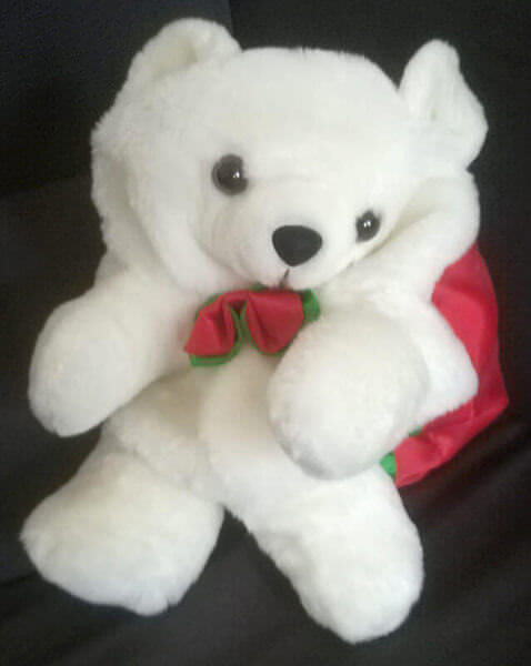 Plüsch-Teddy mit Weihnachtsrucksack