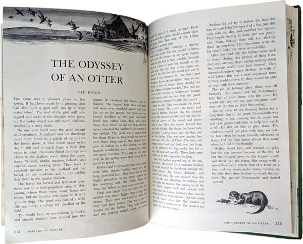 The Wonderful Worlds of Walt Disney (3 Bücher)