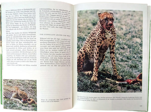 Walt Disneys Wunderbare Welt - Wunder der Natur