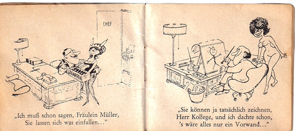 Die kleinen Schmunzelbücher: Verzauberte Welt / SEX beim Diktat
