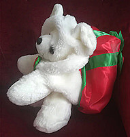 Plüsch-Teddy mit Weihnachtsrucksack