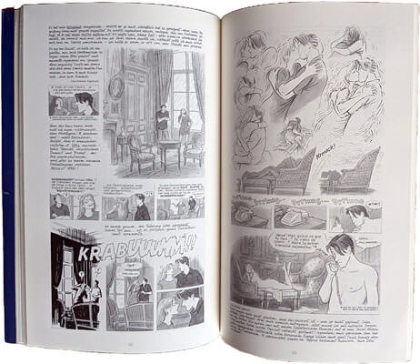 Gemma Bovery. Graphic Novel von Posy Simmonds (Z: 1+)