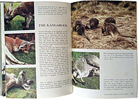 The Wonderful Worlds of Walt Disney (3 Bücher)