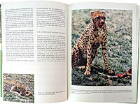 Walt Disneys Wunderbare Welt - Wunder der Natur