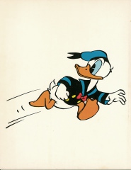 Walt Disney Großband SC 1 (Grade: 2-)